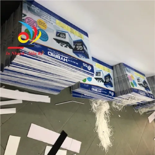 In PP và PP cán Format